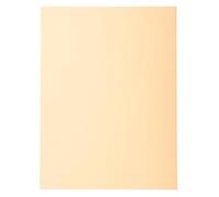 Exacompta 5x 100 chemises Forever® 170 100% recyclé 24x32cm Bulle 420002E
