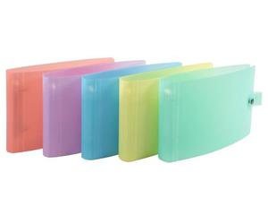Exacompta - Réf. 52170E - Carton de 10 classeurs pour fiches bristols équipés de bouton pression et poch.intérieure - 2 anneaux ronds 30 mm - Dos de 30 mm - 26,5 x 16 cm - Assortis