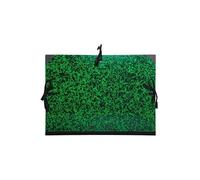 Exacompta, porte-dessin 5 compartiments + bande en tissu, format A2 Annonay, 47 x 62 cm, vert, 532600E