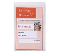 Exacompta - Réf. 5392UE - Paquet de 10 étuis de protection multi-usages, CNI, tickets de caisse, carte étudiant - pour format à classer 7,5 x 12 cm - 2 faces en PVC lisse - Couleur cristal