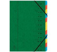 Exacompta - Réf. 54123E - Carton de 8 trieurs dos agrafé - avec élastiques - couverture imprimée en carte lustrée et intérieur en carte recy 12 compartiments - dim 24,5x 32 cm - pour A4 - vert