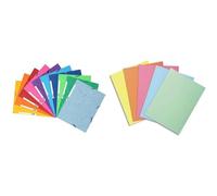 Exacompta - Réf. 55510E - Paquet de 10 chemises à élastiques - pochettes 3 rabats & Paquet de 250 sous-chemises SUPER 60 en carte 60 g, coloris assortis pastels