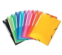 Exacompta 55829E avec 25 Classeurs, Carton Iderama, 425 gm², 3 Rabats, Élastique, Grande Capacité, Idéal pour les Documents Din A4, Étiquette au Dos, 25 Pièces, Couleurs Assorties G