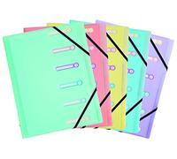 Trieur plastique Chromaline Exacompta 3 rabats 6 divisions - couleurs assorties