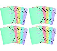 Exacompta - Réf 56170E - 1 trieur Chromaline Pastel - 3 rabats - avec élastiques et fenêtres découpées - couverture et intérieur en PP - 6 compartiments - dim 25x32cm - pour A4 - couleurs aléatoires