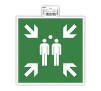 Exacompta - Réf. 67005E - 1 panneau adhésif Point de rassemblement - En PVC traité anti-dérapant et résistant aux UV - Dimensions : 20 x 20 cm - Coloris vert et blanc