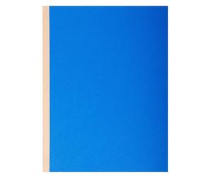 Exacompta - Réf. 771000E - Carton de 25 paquets de 10 chemises rigides à soufflet dos toilé Forever® 320 g/m² - dos de 30 mm - certifiées Ange Bleu - dim 24 x 32 cm pour format A4-5 couleurs