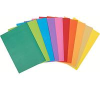 Exacompta - Réf. 807001E - Carton de 300 sous-chemises ROCK''S 80 g/m2 aux couleurs vives - Sous chemises certifiées PEFC™ - Dimensions 22 x 31 cm pour format A4 - 10 couleurs assorties