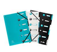 Exacompta Trieur extensible en PP recyclé Titane avec élastiques - 6 divisions - Assortis