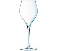 - EXALTATION - 6 flûtes 30cl Transparent G