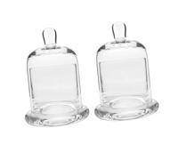 EXCEART 2 Ensembles Cloche en Verre Couvercle Alimentaire en Verre Récipient à Gâteau D'exposition De Fleurs Préservées Globe De Fromage Charmant Fabriquer des Outils Un