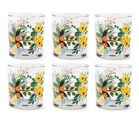 Excelsa Fiori Frida Set 6 Verres, Verre, Capacité 250 Ml.