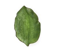 Excelsa Foliage Lot de 6 assiettes en forme de feuille en céramique, vert