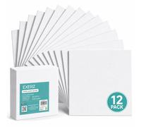EXERZ 20x25cm Panneaux de toile 12pcs, Cartons entoilés 3mm d'épaisseur, Tableaux en toile à peindre, 280gsm 100% coton/Vierge/Triple apprêt/Sans acide/Grain moyen