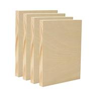 EXERZ Lot de 4 panneaux carrés en bois de 20,3 x 25,4 cm pour peinture acrylique, à l'huile et supports mixtes - Grands panneaux lisses pour artistes, enfants et projets de bricolage (20,3 x 25,4 cm)