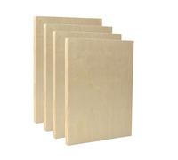 EXERZ Lot de 4 panneaux rectangulaires en bois de 22,9 x 30,5 cm pour peinture acrylique, à l'huile et supports mixtes | Planches artisanales lisses pour artistes, enfants et projets de bricolage