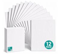 Exerz Panneaux de Toile 24x30cm 12pcs, 3 mm d’Épaisseur, 280 g/m², 100% Coton, Vierge, Triple Apprêt, Sans Acide, Grain Moyen, Huile et Acrylique