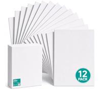 Exerz Panneaux de Toile 30x40cm 12pcs A3, 3 mm d’Épaisseur, 280 g/m², 100% Coton, Vierge, Triple Apprêt, Sans Acide, Grain Moyen, Huile et Acrylique