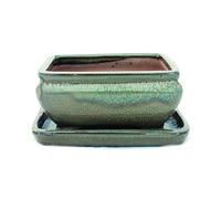 exotenherz - Bol à bonsaï avec soucoupe taille 2 - marron olive - carré - modèle G81 - L 14,5 cm - l 11,3 cm - H 6,6 cm