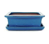 exotenherz Bol à bonsaï avec soucoupe taille 3 - bleu - carré - modèle G29 - L 18 cm - l 13 cm - H 6 cm