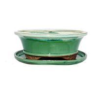 exotenherz Bol à bonsaï avec soucoupe taille 4 - vert/beige - ovale - modèle O4 - L 26 cm - l 21 cm - H 7,5 cm