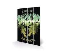 - Expecto Patronum - Impression sur bois 20x29.5