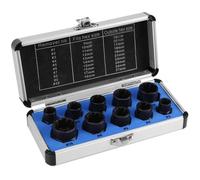 Extracteur de Vis 10 Pièces Extracteur Ecrou Antivol Universel Douille Torx Femelle Coffret pour Enlever Les Boulons Rouillés e