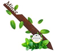 EXTRAVAGANT Piquet de jardin menthe, décoration de jardin pour l'extérieur | En acier Corten avec patine rouille élégante, plaques pour plantes et herbes à clipser, idée cadeau pour les amateurs de