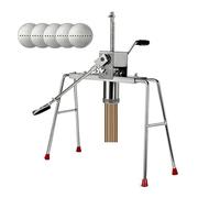 Extrudeuse Manuelle d'encens Bouddha, en Acier Inoxydable avec 5 plaques de Moule différentes, Outil d'extrudeuse d'argile à Pression Manuelle for Parfum de Bricolage avec Panneau