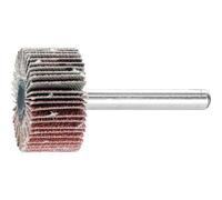 PFERD PFERD Roues à lamelles sur tige F 3015/6 A 80 Quantité:1