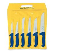 F. DICK Messer Set ErgoGrip Blockmesser Stechmesser Sortiermesser Ausbeinmesser
