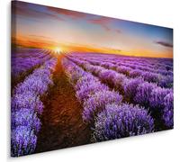 Fabuleuse toile PEINTURES 90x60 cm XXL Art print Nature Fleurs Champ de lavande