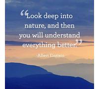 Fabulous Affiche Poster Albert Einstein Look Deep Citation Inspirante Motivation