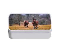 Fabulous Boite en Métal Poneys Au Galop Chevaux Nature Animaux Domestiques - 11 x 18,5 x 5,5 cm - Boite de rangement, clé, outils, boite à Lunch, Sucre, Biscuit
