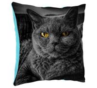 Fabulous Coussin en Peluche Bleu - Chat de Race Gris Chartreux Yeux Jaunes Mignon - 40 x 40 cm - Toucher Peluche - Housse et Coussin Inclus