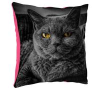 Fabulous Coussin en Peluche Rose - Chat de Race Gris Chartreux Yeux Jaunes Mignon - 40 x 40 cm - Toucher Peluche - Housse et Coussin Inclus