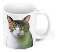 Fabulous Mug céramique Chat Europeen Blanc et Tigre Yeux Verts Blanc G