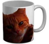 Fabulous Mug céramique Chat Roux Poil Long Animale de Compagnie Blanc G