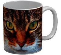 Fabulous Mug céramique Magnifique Chat Tigre a Poil Long Gros Plan Blanc G