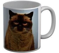 Fabulous Mug céramique Portrait Magnifique Chat Siamois Persan Blanc G