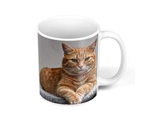 Fabulous Mug Céramique Superbe/Chat Roux A Poil Long/Relax/Chill/Mignon