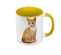 Fabulous Mug de Couleur Qualité Premium Jaune - Tres Beau Chat Roux et Blanc Mignon Chat Domestique - Tasse avec anse et intérieur de couleur