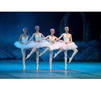 Fabulous Poster Affiche Ballet Ballerine sur les Pointes Danse Classique