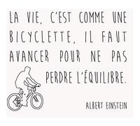 Fabulous Poster Affiche Citations Célèbres Albert Einstein la Vie c'Est Comme une Bicyclette il Faut Avancer Pour ne Pas Perdre l'Équilibre 30x57cm