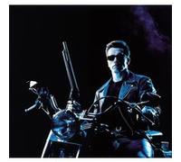 Fabulous Poster Arnold schwarzenegger terminator 2 (31cm x 33cm) G