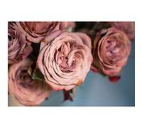 Fabulous Poster Bouquet de roses vintage (42x63cm) G