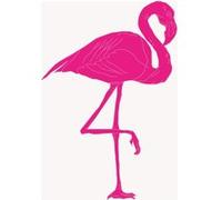 Fabulous Poster Flamant rose dessin (61x63cm) Rose G