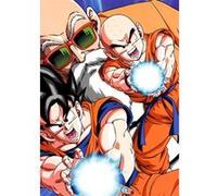 Fabulous Poster Kame hame ha vague destructrice dragon ball (61 cm x 86 cm) G