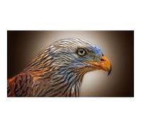 Fabulous Poster Milan royal aigle magnifique (31cm x 61cm) G