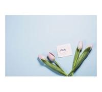 Fabulous Poster Tulipes et petit mot maman (61x92cm) G